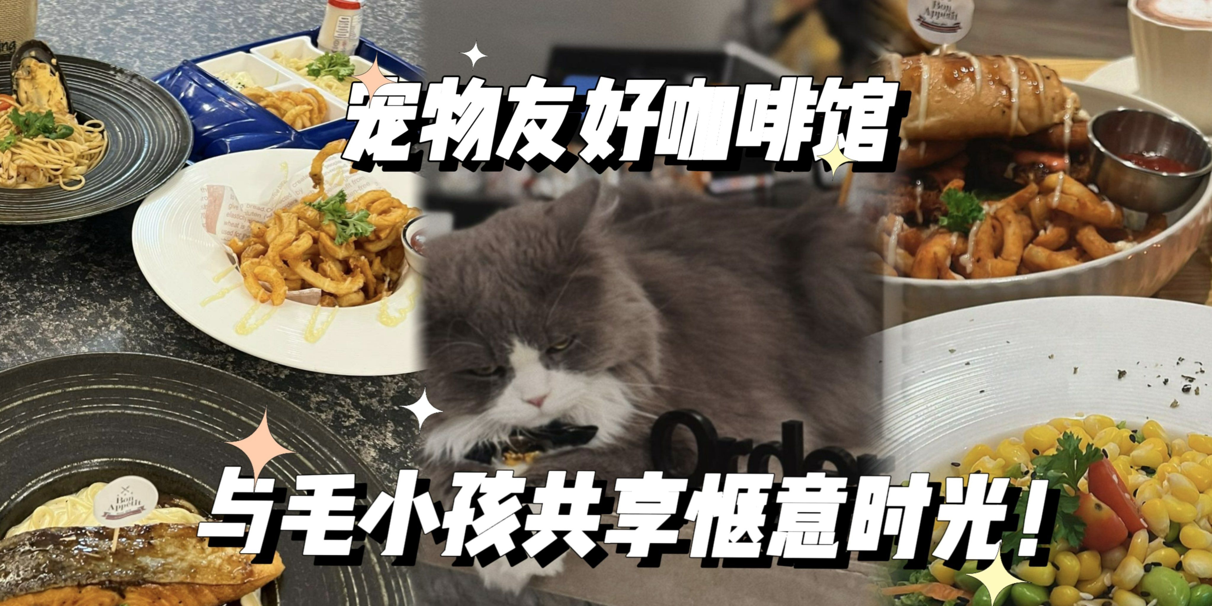 【🐾新山宠物友好咖啡馆推荐：与毛茸茸的伙伴共享惬意时光】