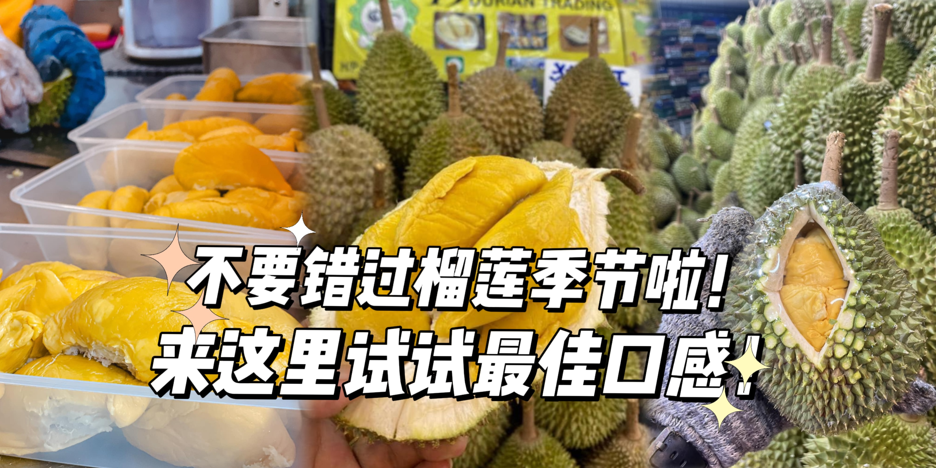 【不要错过榴莲季啦！来这里试试最佳口感！】