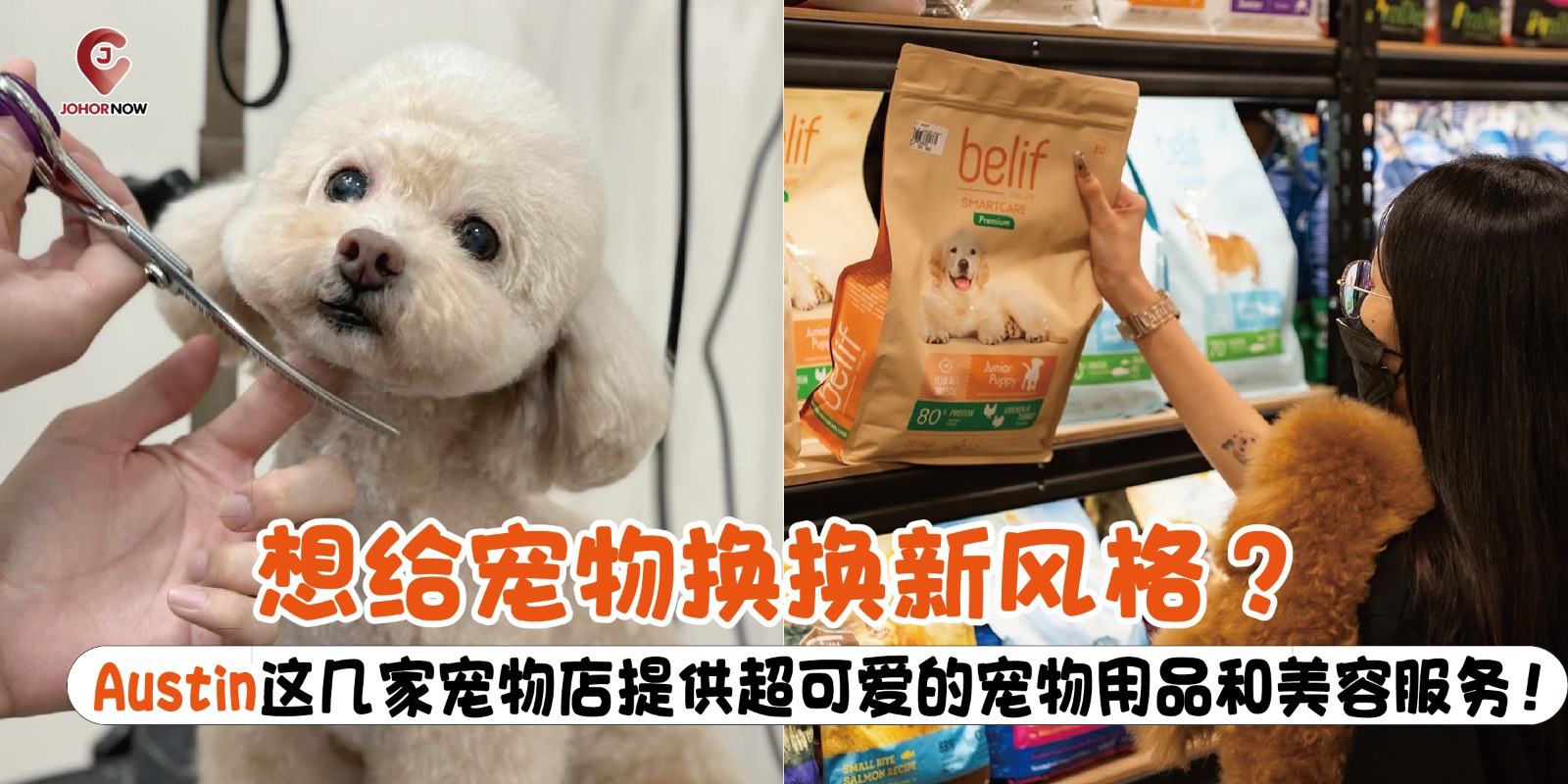 【想给宠物换换新风格？Austin这几家宠物店🐾提供超可爱的宠物用品和美容服务！🐕🥰】