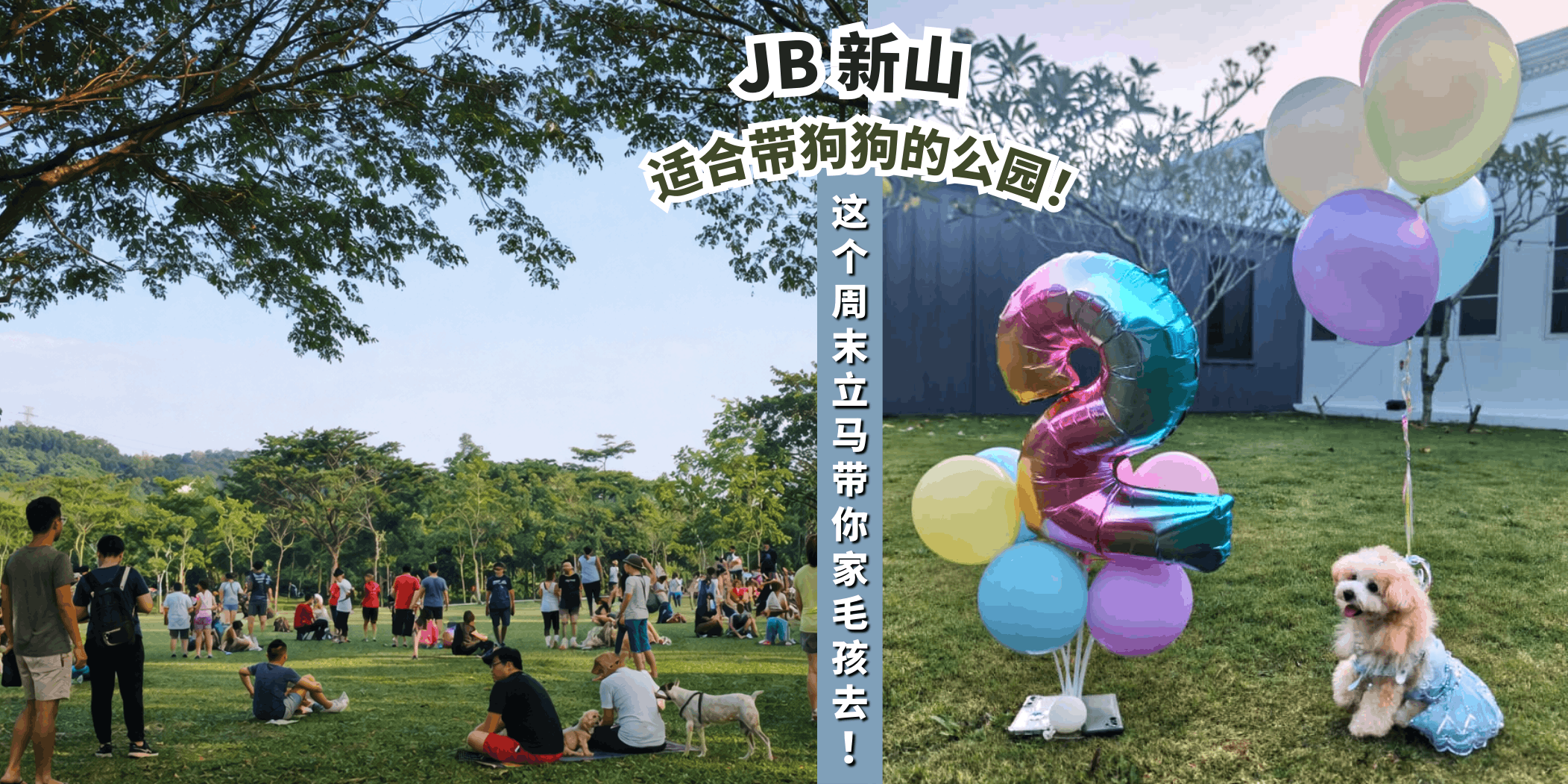 【🚶‍♂️带着宠物一起散步！新山5大最适合带狗狗的公园🐾】