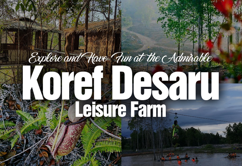 explore-and-have-fun-at-the-admirable-koref-desaru-leisure-farm