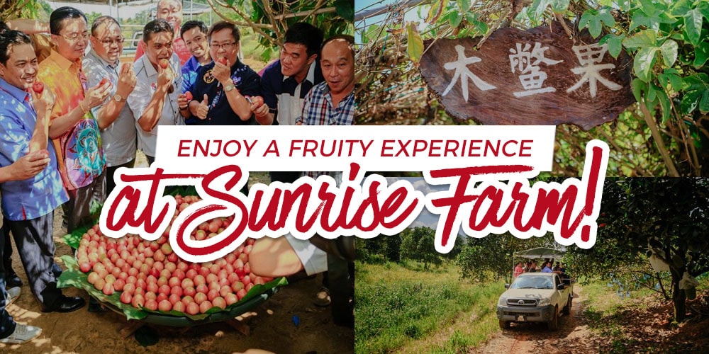 Enjoy A Fruity Experience At Sunrise Farm Johor Now