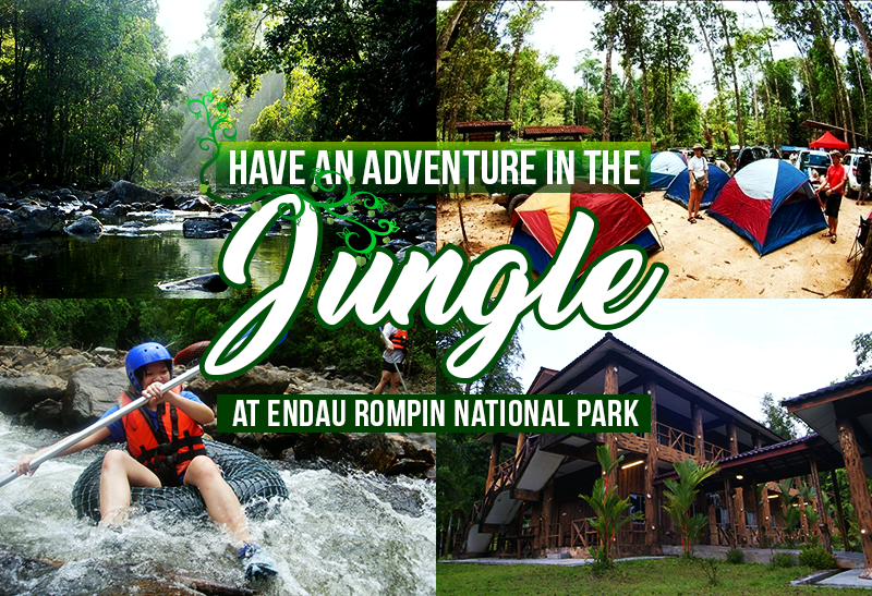 Have an Adventure in the Jungle at Endau Rompin National Park COVER