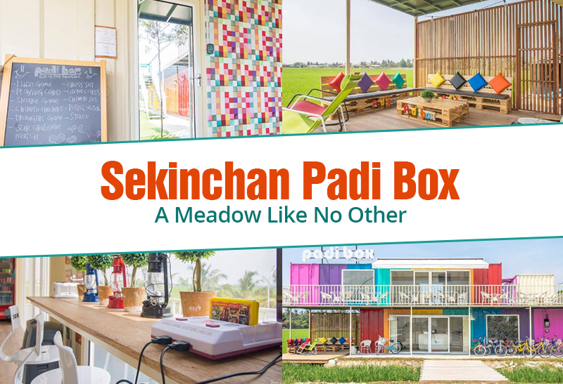 Sekinchan Padi Box A Meadow Like No Other