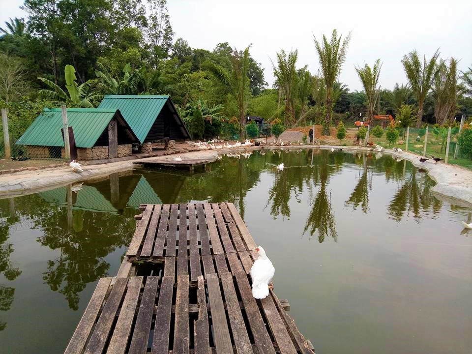 johor travel: garden kuan / pond